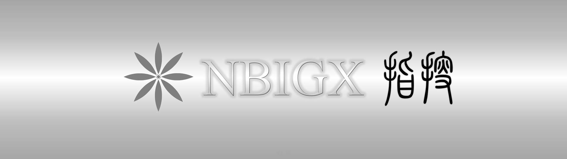 NBIGX淘宝店全屏轮播图片-银色LOGO_1920px.png